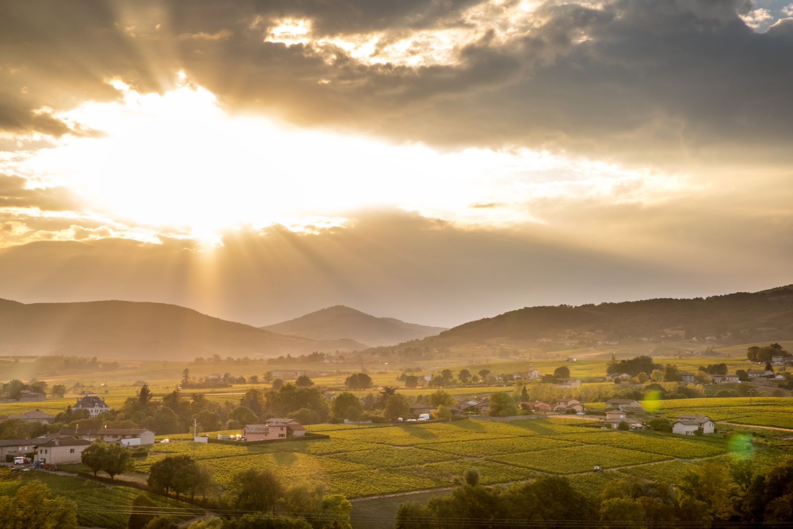 Expansive view of Beaujolais crus with vineyards, villages and rolling granite hills bathed in evening light